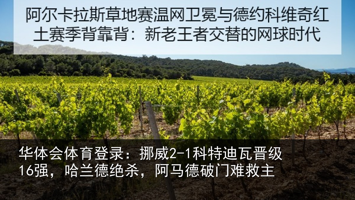 华体会体育登录：挪威2-1科特迪瓦晋级16强，哈兰德绝杀，阿马德破门难救主