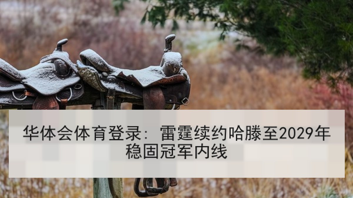 华体会体育登录: 雷霆续约哈滕至2029年稳固冠军内线