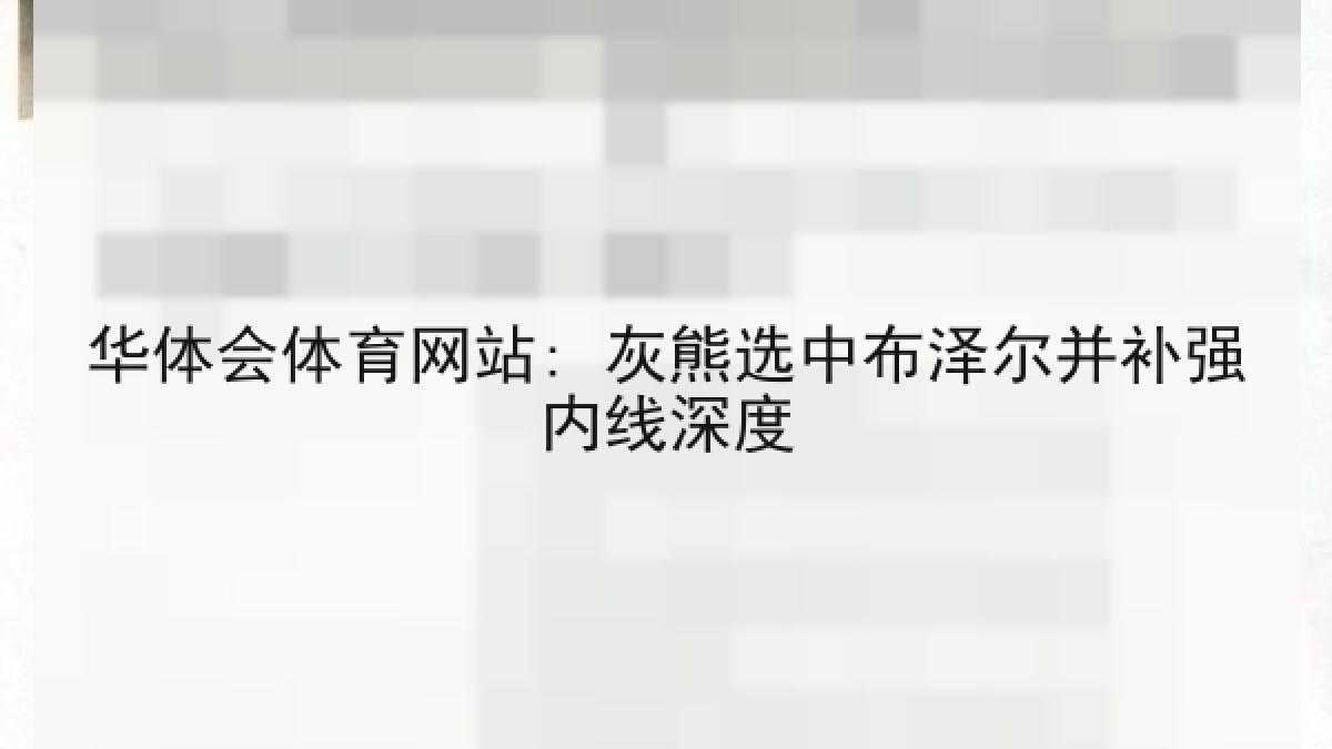华体会体育网站: 灰熊选中布泽尔并补强内线深度