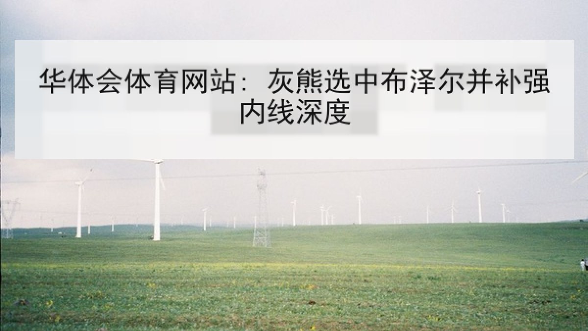 华体会体育网站: 灰熊选中布泽尔并补强内线深度